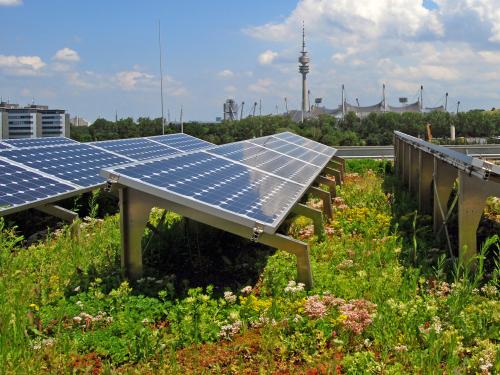 Green roof with photovoltaics